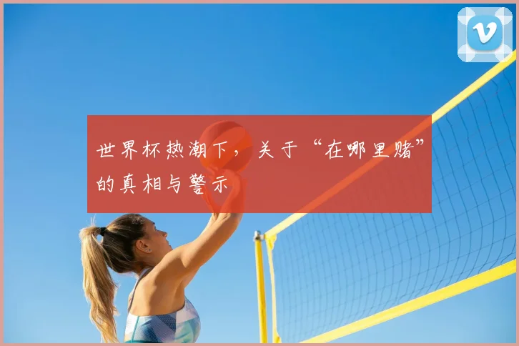 世界杯热潮下，关于“在哪里赌”的真相与警示