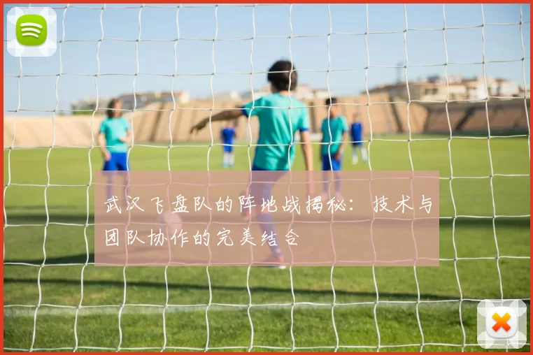 武汉飞盘队的阵地战揭秘：技术与团队协作的完美结合