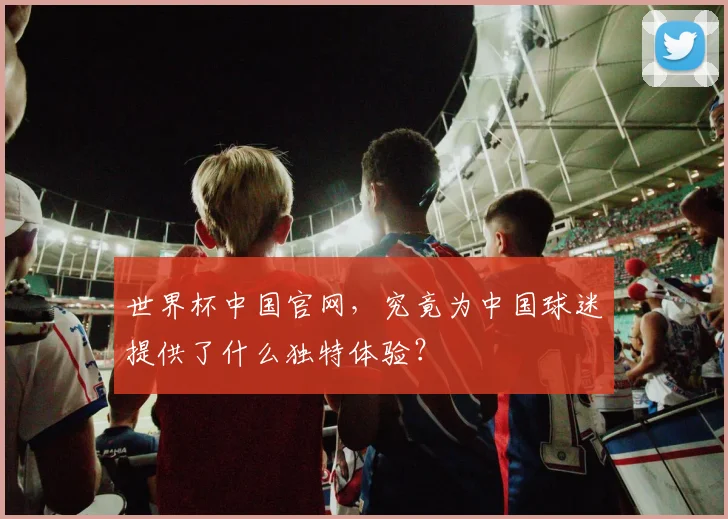 世界杯中国官网,究竟为中国球迷提供了什么独特体验?