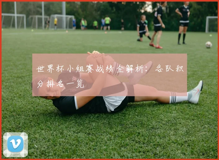 世界杯小组赛战绩全解析:各队积分排名一览