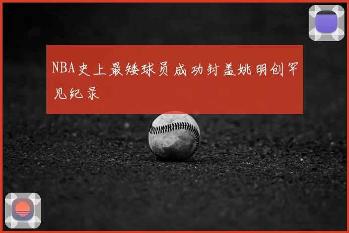 NBA史上最矮球员成功封盖姚明创罕见纪录