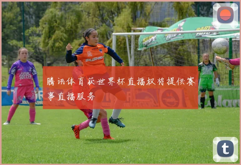 腾讯体育获世界杯直播权将提供赛事直播服务