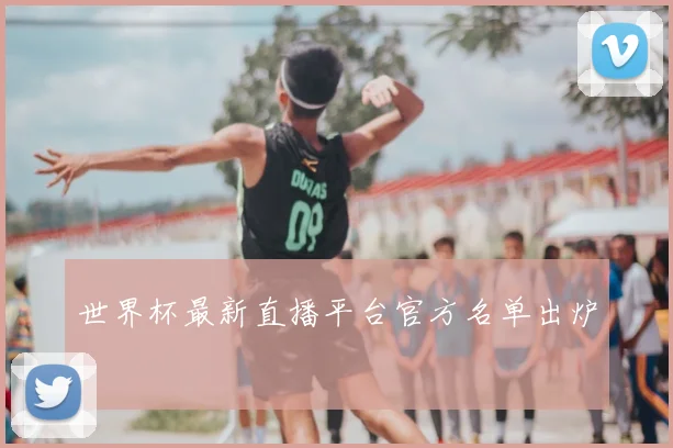 世界杯最新直播平台官方名单出炉