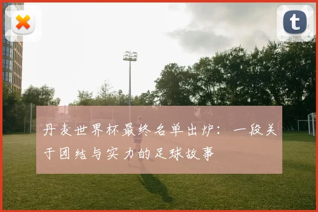 丹麦世界杯最终名单出炉:一段关于团结与实力的足球故事
