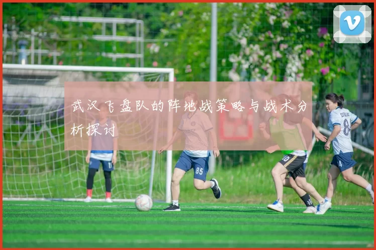 武汉飞盘队的阵地战策略与战术分析探讨