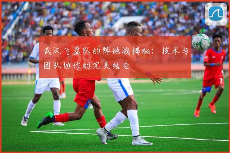 武汉飞盘队的阵地战揭秘：技术与团队协作的完美结合